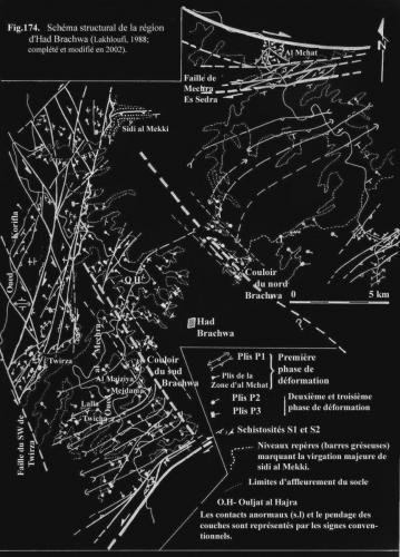 2-Region-Brachwa-sch-struct