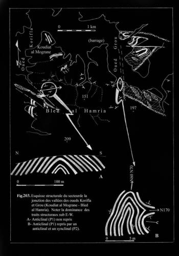 28-confl-Korifla-Grou