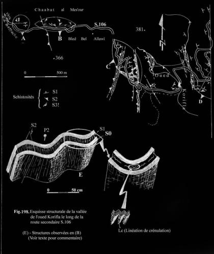 6-Od-Korifla-E-Od-Mechra