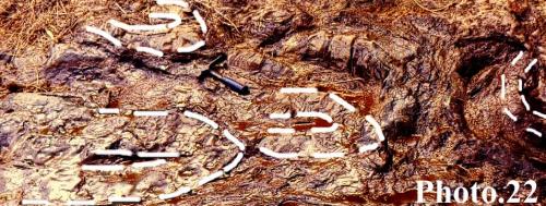 20-Chaabat-Guenfoudia-Grou