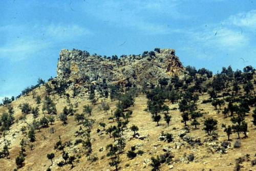 37-Sans-titre226-cop