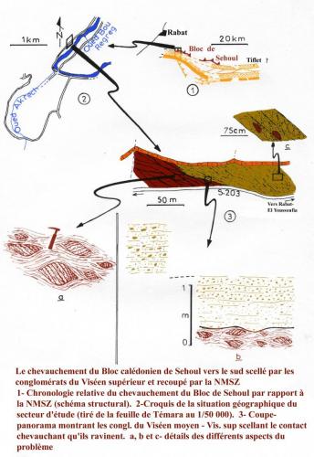 Illustrations colorées NMSZ et (1)