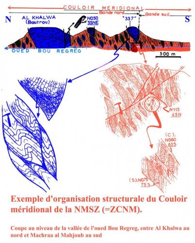 Illustrations colorées NMSZ et (11)