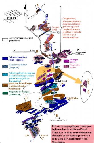 Illustrations colorées NMSZ et (13)