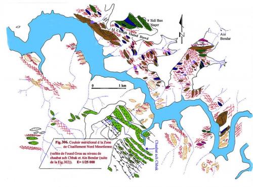 Illustrations colorées NMSZ et (5)