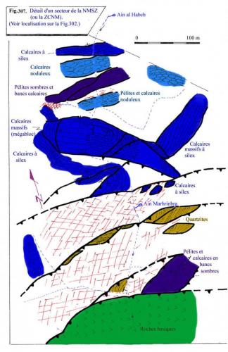 Illustrations colorées NMSZ et (6)