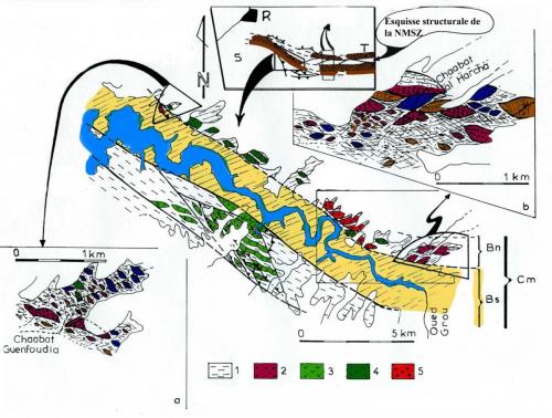 Illustrations colorées NMSZ et (9)