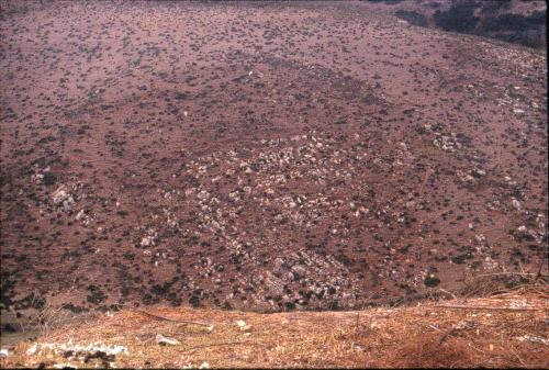 Illustrations thèse (15)