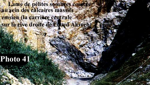 Illustrations thèse (26)