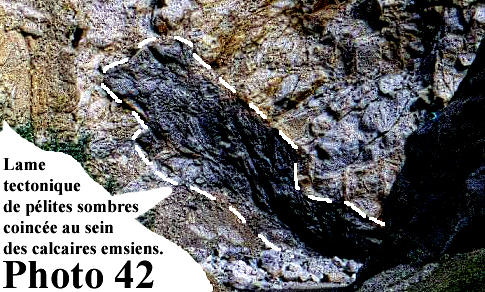 Illustrations thèse (27)