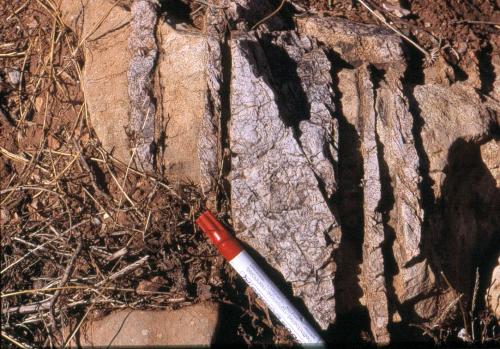 Illustrations thèse (5)