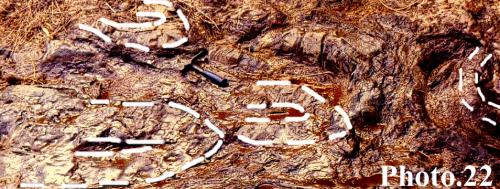 Illustrations thèse (6)