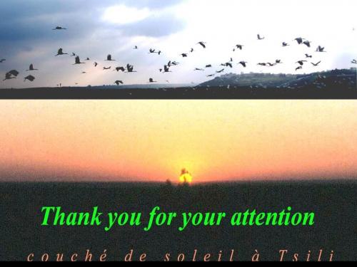 La Zone de Cisaillement N Meset Jour Géol (75)